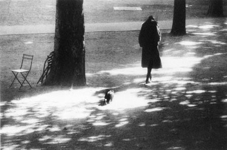 Mujer en el parque con perro